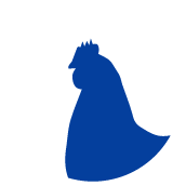 Avicultura