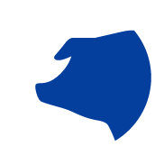 Porcicultura