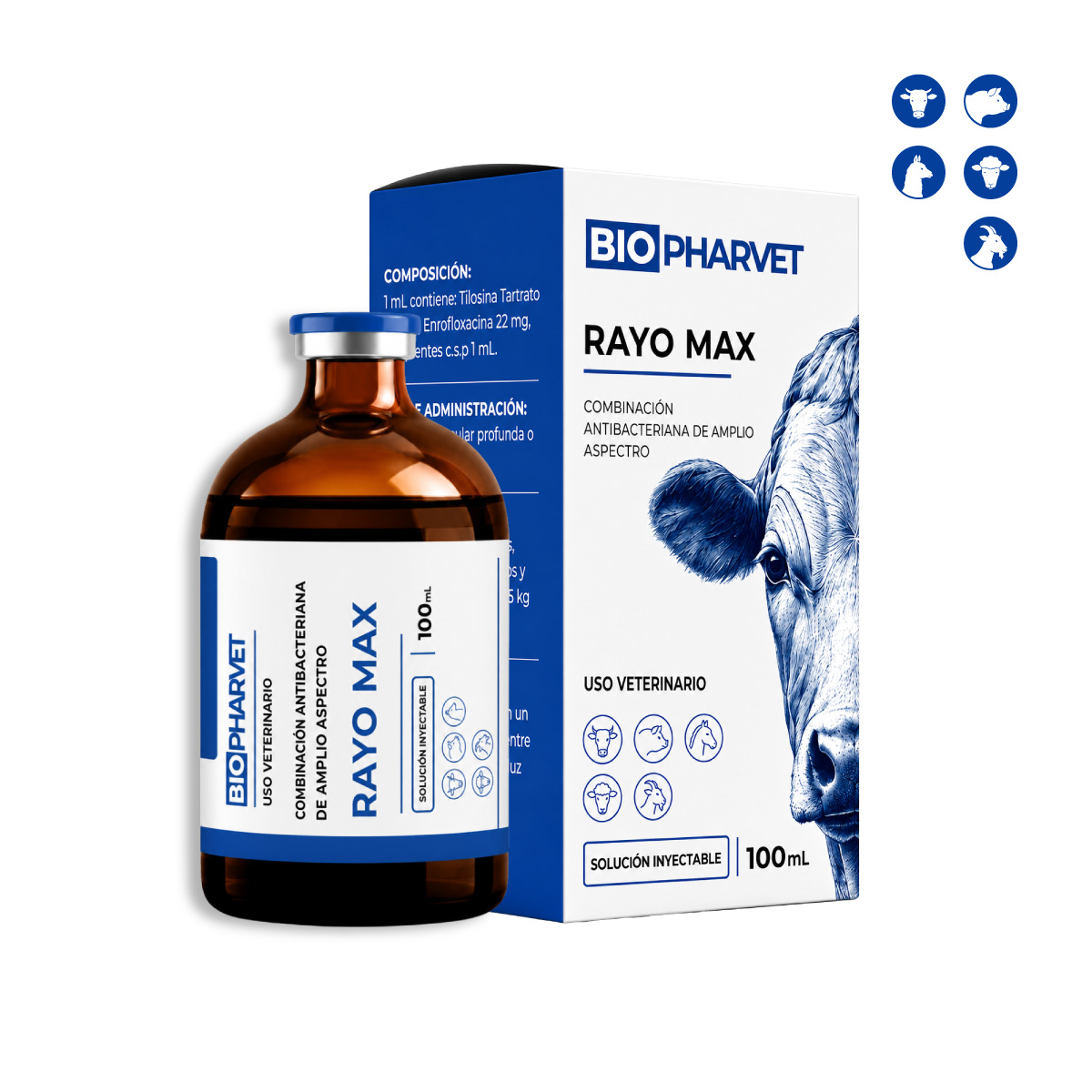 RAYO MAX